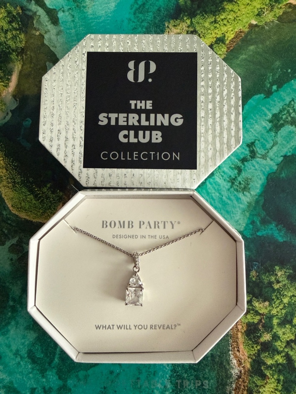 The Sterling Club Collection Pendant Necklace